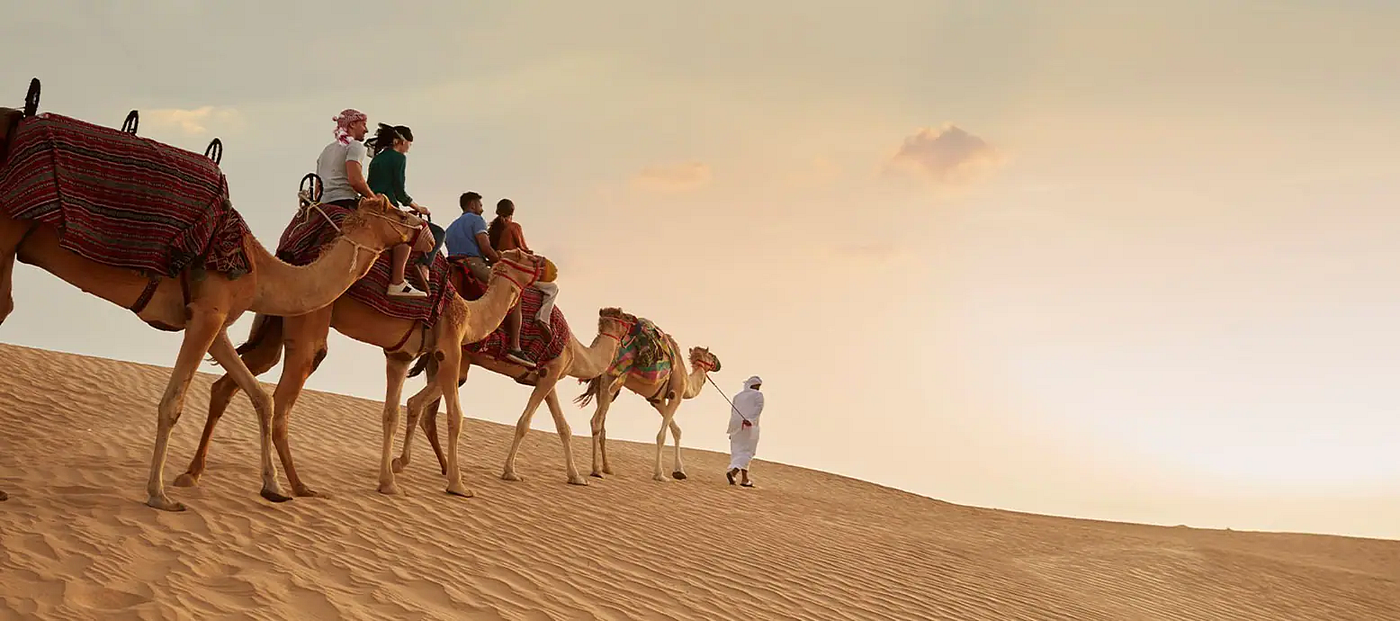 Camel Trekking Dubai