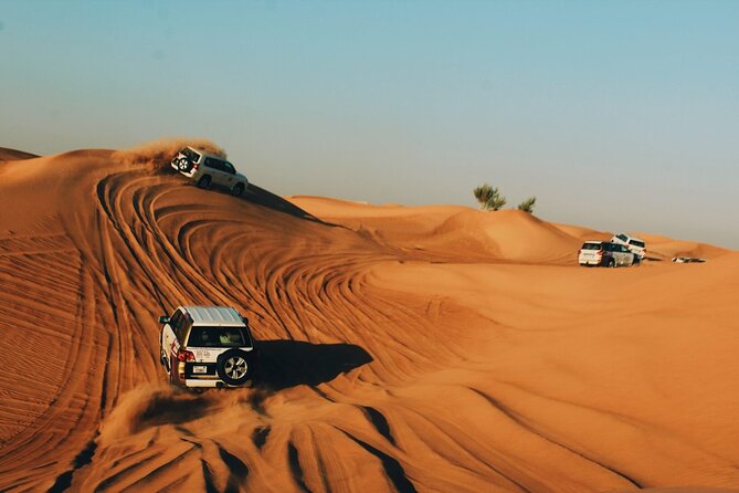 Morning Desert Safari 