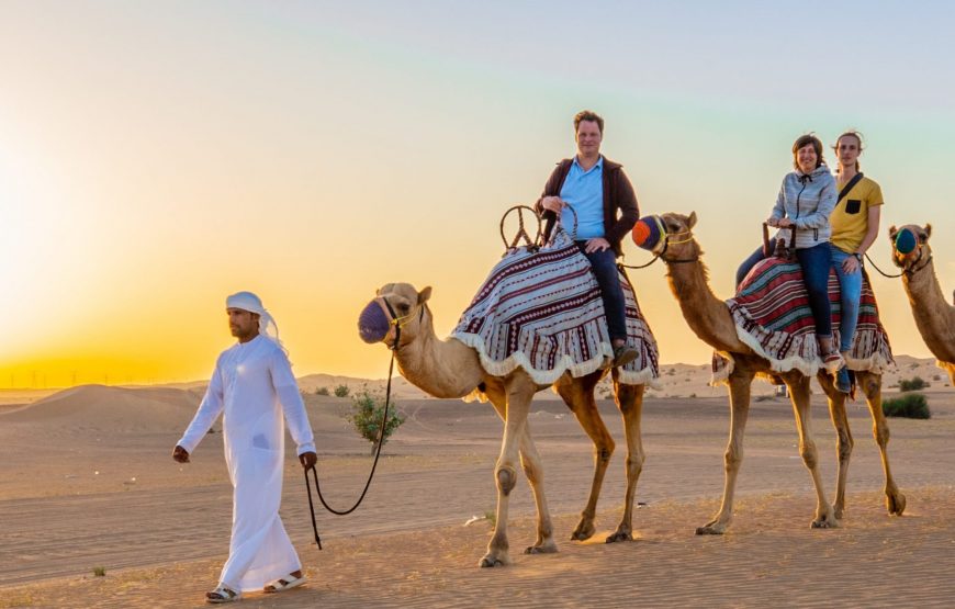 Camel Trekking Dubai