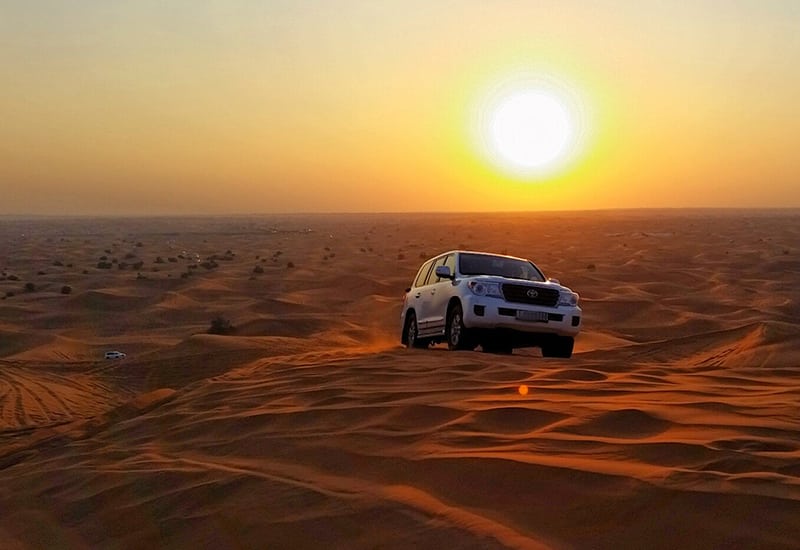 Evening Desert Safari