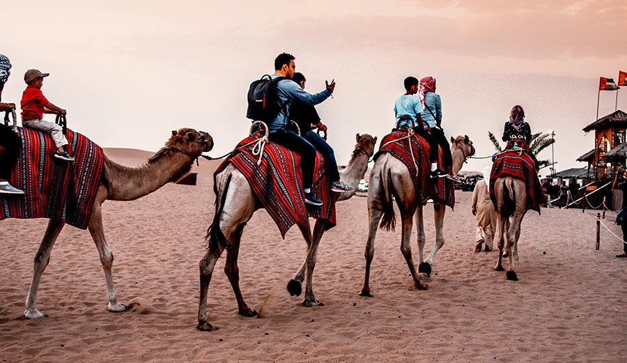 Thrilling Red Dune Safari + Quad Bike