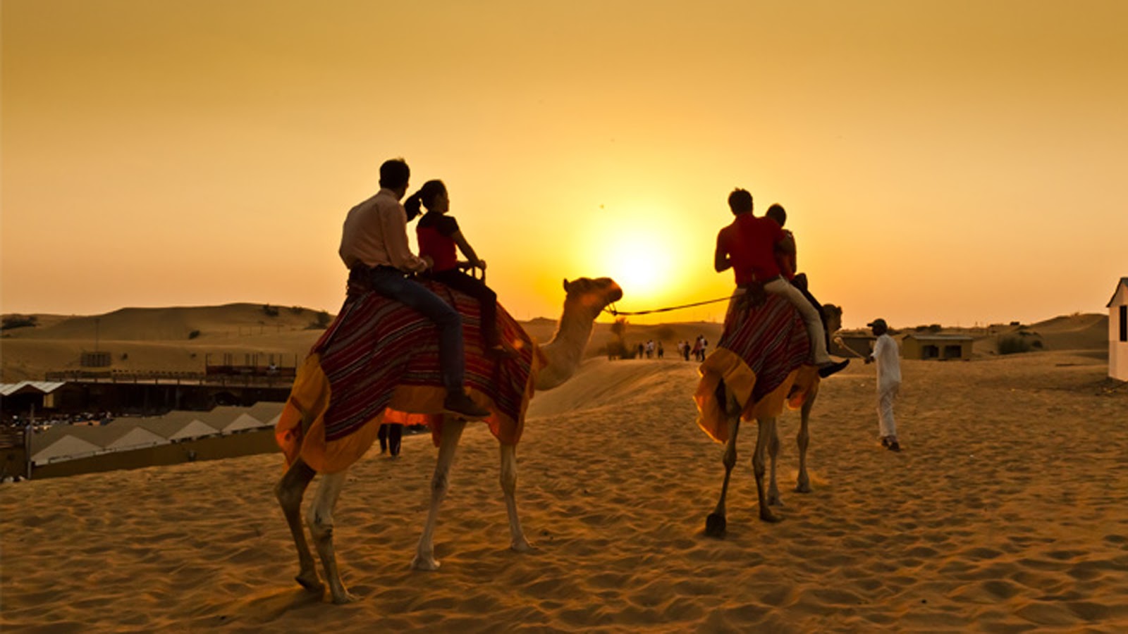 Camel Trekking Dubai